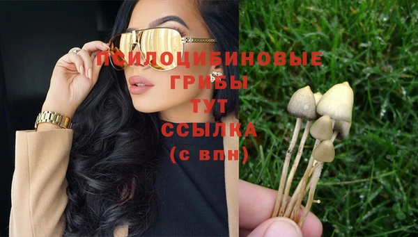 гидропоника Богородск