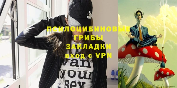 гашик Бородино